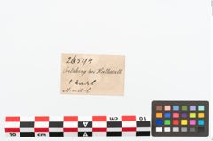 Etikett zu Bronzemehrkopfnadel (NHMW-PRAE-026594)